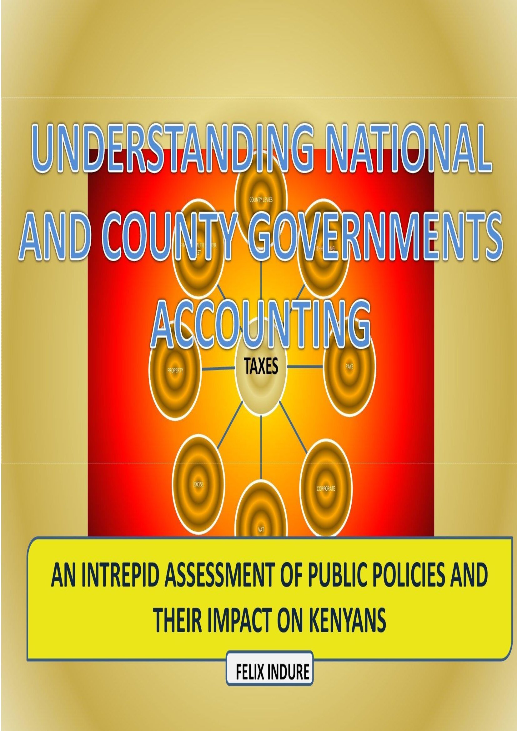 Understanding National and County Governments Accounting book by Felix Indure